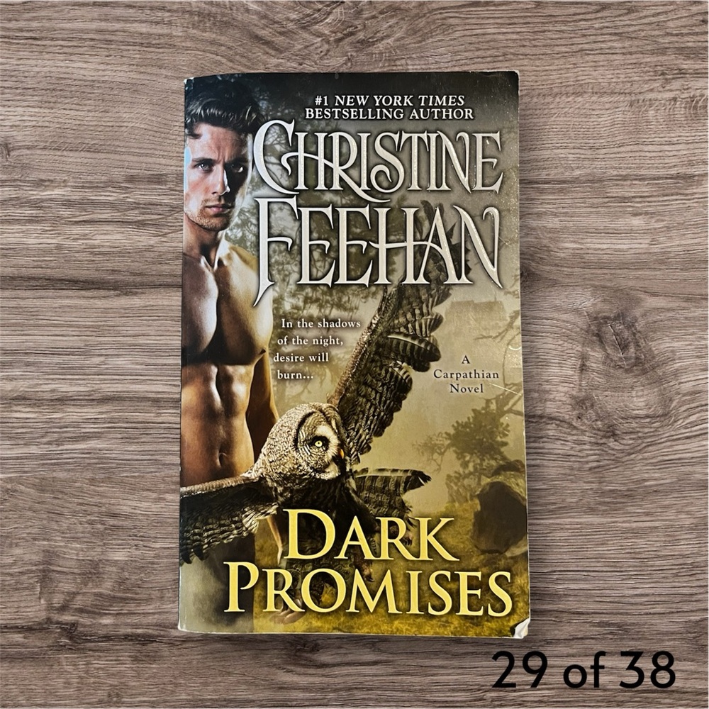 Dark Promises by Christine Feehan Paperback